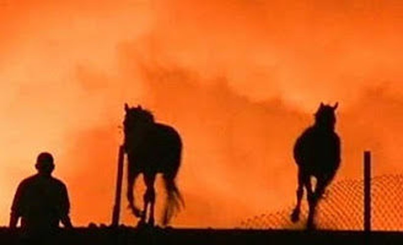 Horses and a volunteer silhouetted against a wildfire sky